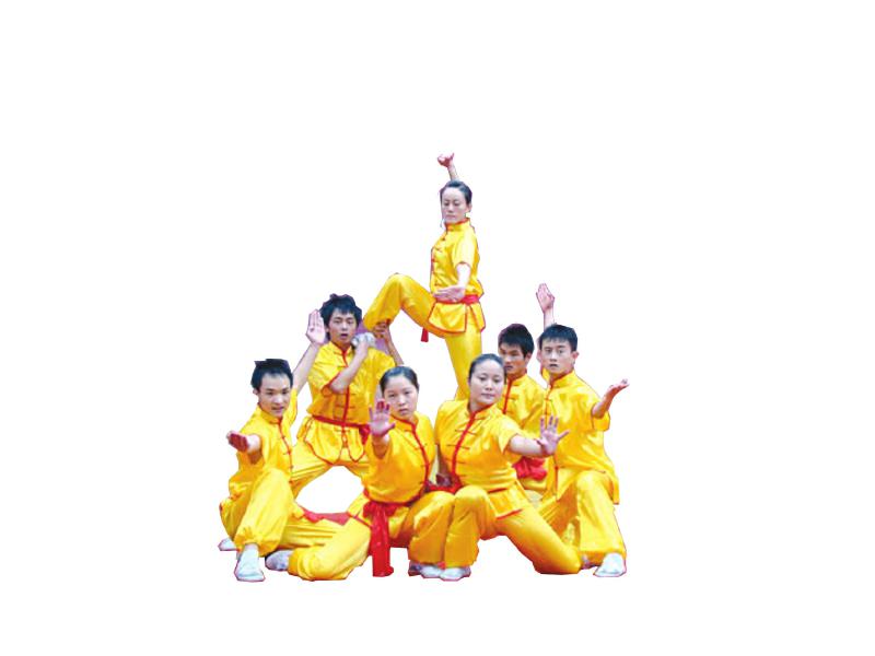 《华西都市报》对公司峨眉武术文化建设给予报道